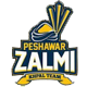 Peshawar Zalmi team logo