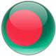 Bangladesh team logo